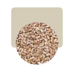 trigo candeal pelado 500gr