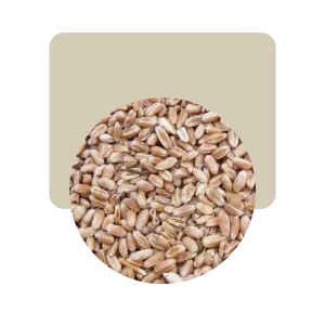 trigo candeal pelado 500gr