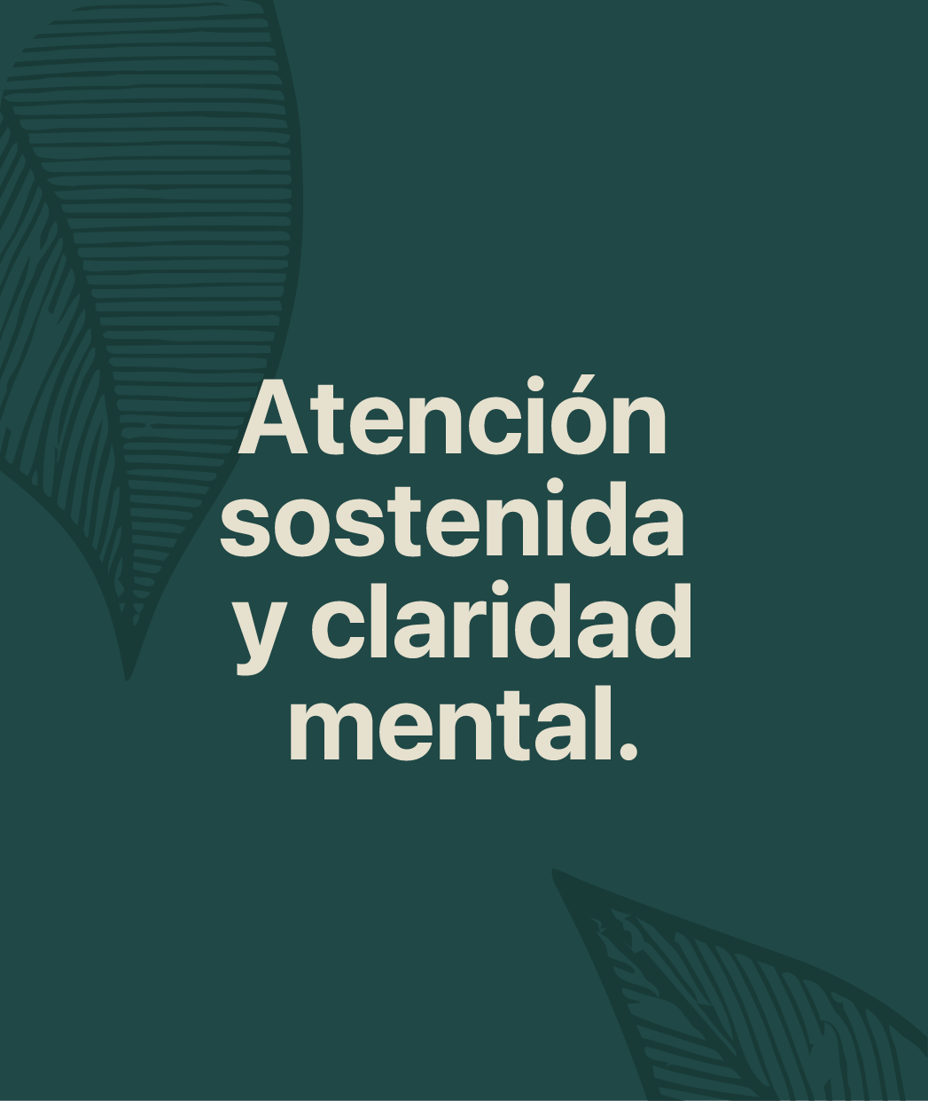 set cerebro-pieza 02