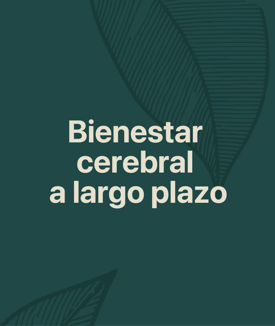 set cerebro-pieza 05