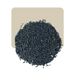 lenteja negra beluga 1kg