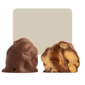 rokka nueces bañadas en chocolate 6u
