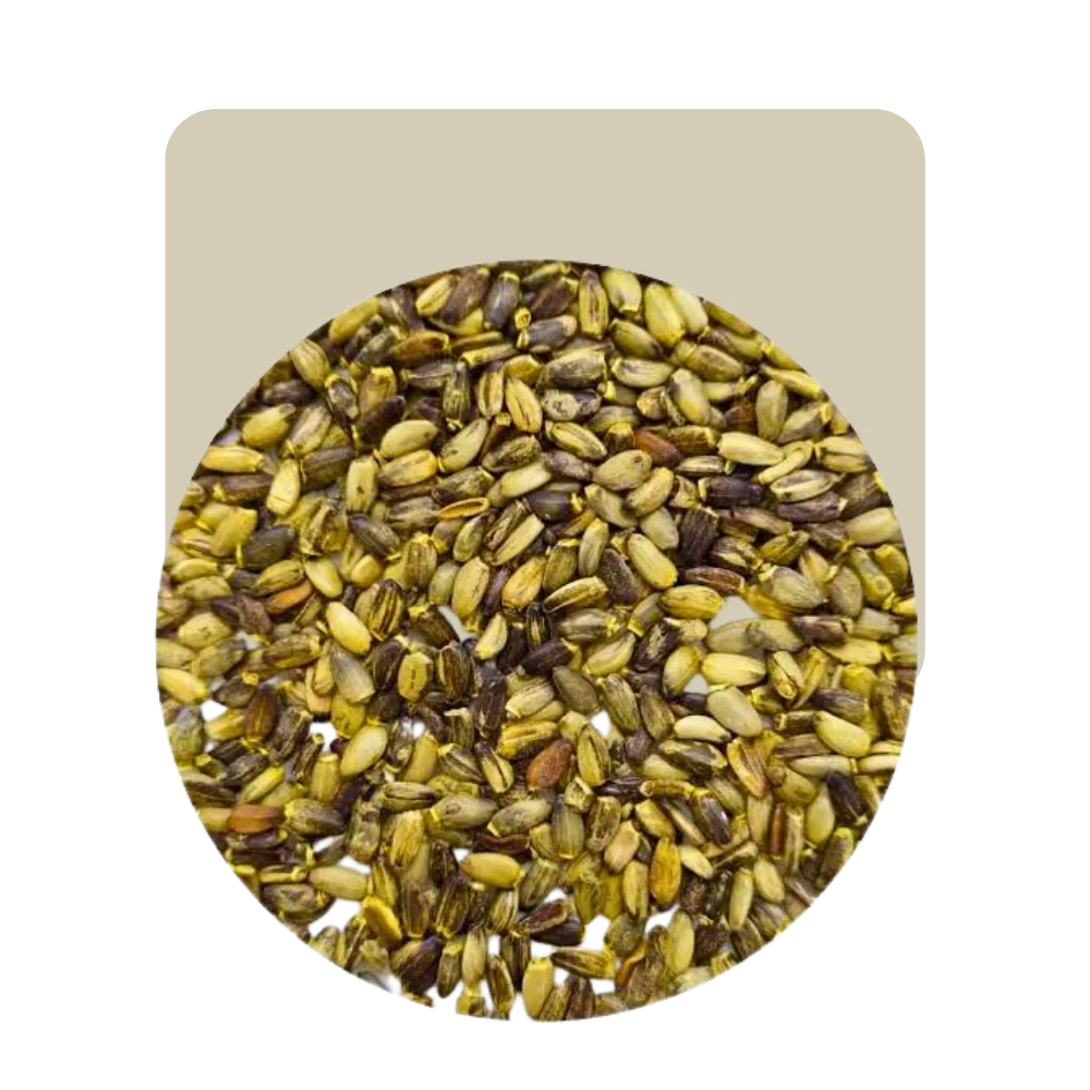 cardomariano en semillas 25gr